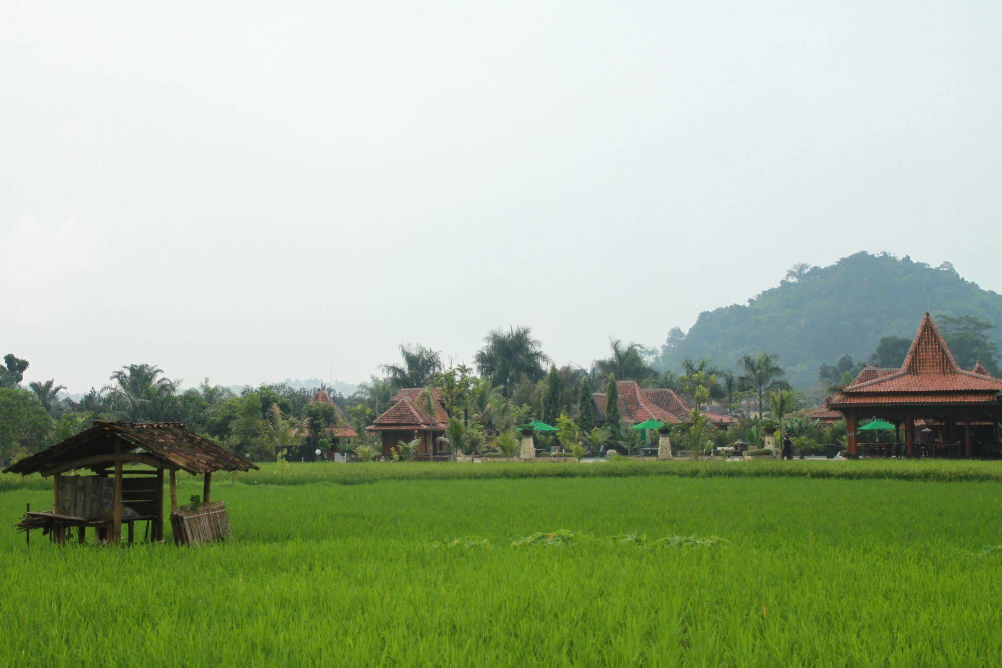 Hotel Melva Balemong Semarang Exterior foto